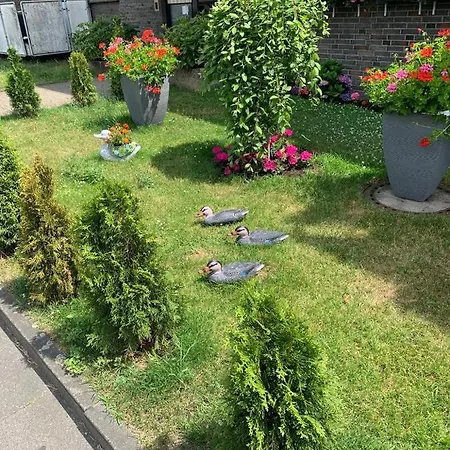 Apartmán Studio 49 Mit Balkon - A61423 Oberhausen (North Rhine-Westphalia)